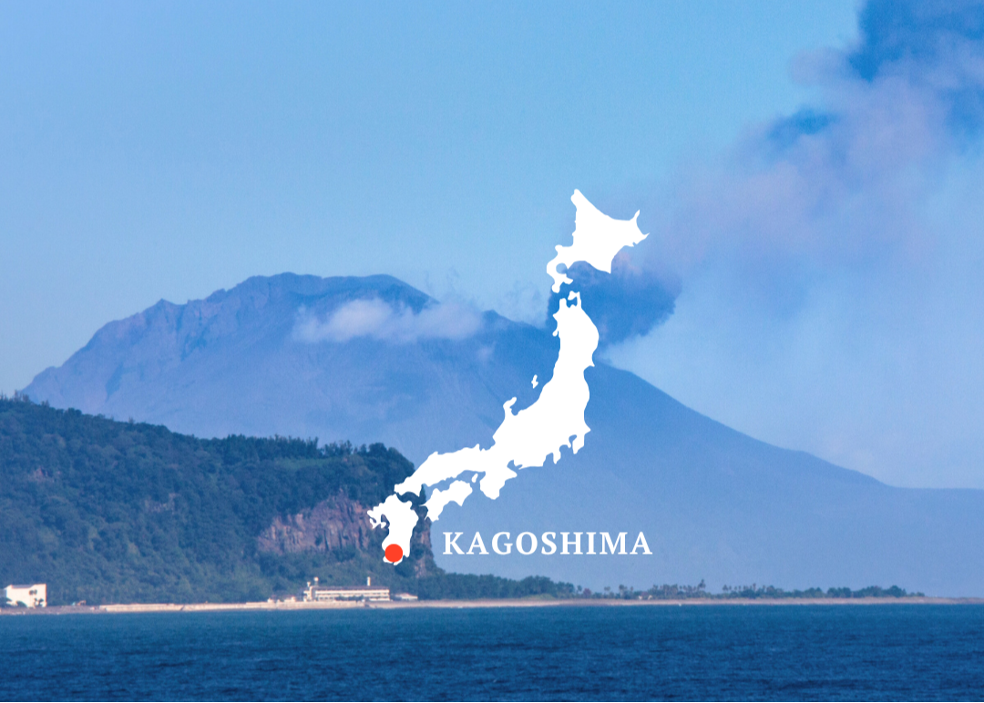 Kagoshima Matcha 30g
